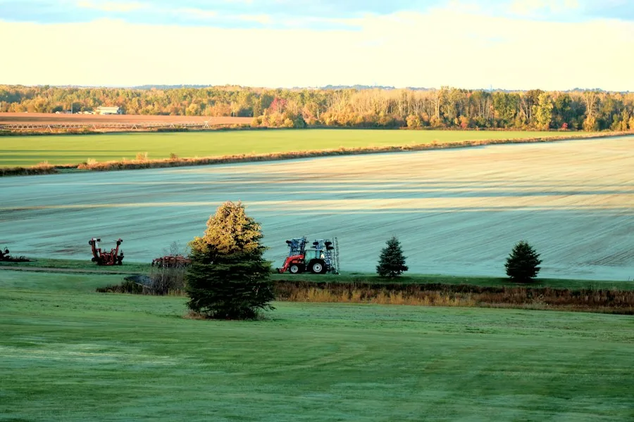 Tractor in a cultivated field